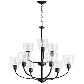 Quorum Lighting 6060-9-69 Reyes Chandelier, 9-Light 540 Total Watts, Textured Black
