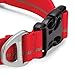 Ruffwear - Hoopie Soft, Durable Dog Collar, Red Currant, Large