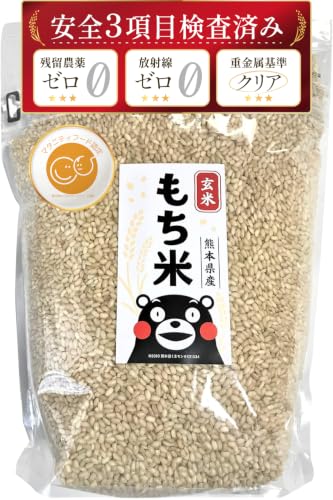 九州の大自然しらき もち米 玄米 1.5kg 【熊本県産・モチモチ食感】 餅米 真空用パックチャック付き