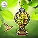 Best Home Products Hummingbird Feeder with Perch - Hand-Blown Glass Feeders | Treat ((Multi-Color)