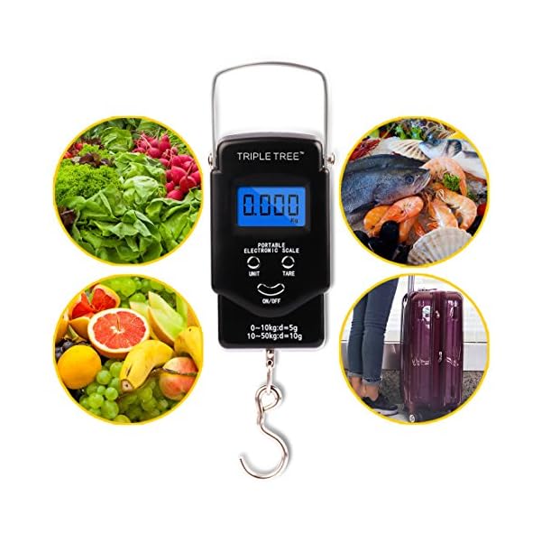 Hanging-Fish-Scale-Digital-Fishing-Scale-with-Hook-110lb50kg-Batteries-Included