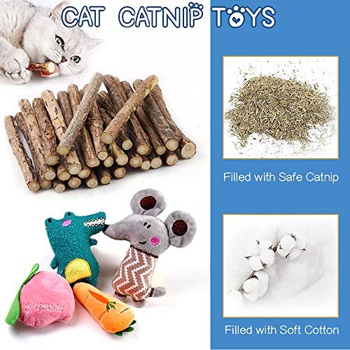 AZOFFYIU Catnip Toys Kitten Supplies Interactive Catnip Toys for Indoor Cats Squeaky Crinkle Catnip Toy Gift for Cat Lovers Dental Health Chew Toy Set of 10 with 5pcs Silvervine Sticks