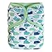 EcoAble Baby Day & Night All-in-One AIO Cloth Diapers, Size 10-35Lb, 3-Pack Bundle (Boy)