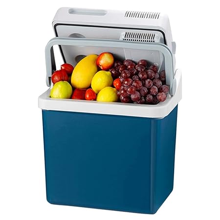 Roscloud Refrigerador PortáTil para AutomóVil 21l Mini ...
