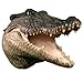 Life Size Alligator Crocodile Head w/ Teeth