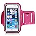 TRIBE Running Phone Holder Armband. iPhone & Galaxy Cell Phone Sports Arm Bands for Women, Men, Runners, Jogging, Walking, Exercise & Gym Workout. Fits All Smartphones. Adjustable Strap, CC/Key Pocket