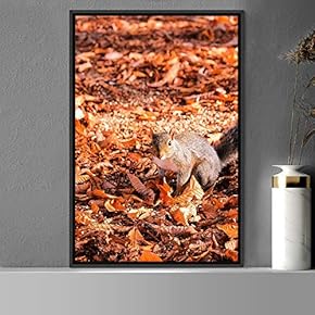 signwin Framed Canvas Wall Art Squirrel Animals Fun...
