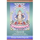 Chenrezik: For the Benefit of all Beings / Chenrezik:Por El Bien de los Seres (Semillas Del Despertar / Seeds of Awakening)