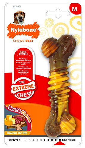 Nylabone Flavor Frenzy Dura Chew Power Chew Philly Cheesesteak Flavored Bone Dog Chew Toy, Wolf, Up to 35 lbs