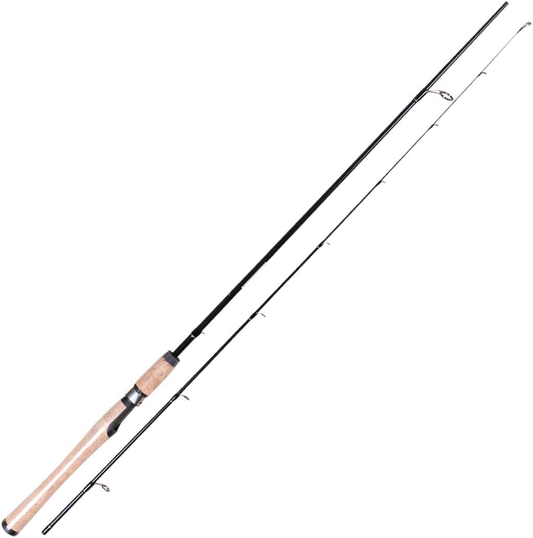 Alabiili Fishing Rods Carbon Steel Rods for Travel Surf Saltwater Freshwater Bass Boat Fishing