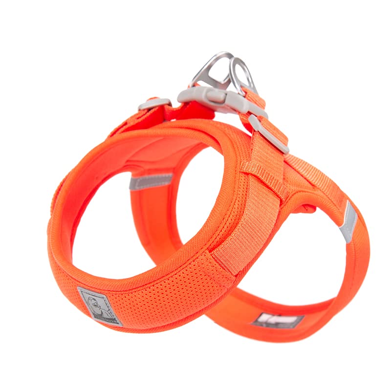 WINHYEPET Truelove Dog Harness Soft Mesh Reflective Breathable Step-In Dog Harness,Easy Adjustment Harness with Safety Buckle for Extra Small and Small Dogs, Vest Harness TLH3013(Orange,S)