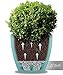 Santino, Self Watering Planter Deco 8.8 Inch, Jade, Indoor Decorative Flower Pot with Drainage Cartridge and Water Level Indicator
