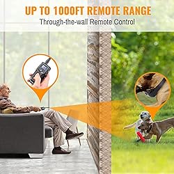 Dog Training Collar with Remote - Advanced