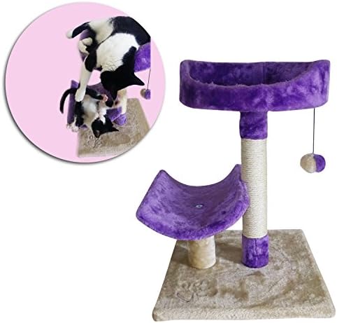 Cat Tree Scratching Post for kittens &amp; small cats. This cute Scratcher Post with Bed is ideal for indoor cats for playing, sleeping, climbing - Color Purple