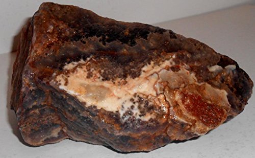 Rock Tumbler Gem Refill Kit Mexican Amethyst Lace Agate Rough 8 oz by Mexico Nature