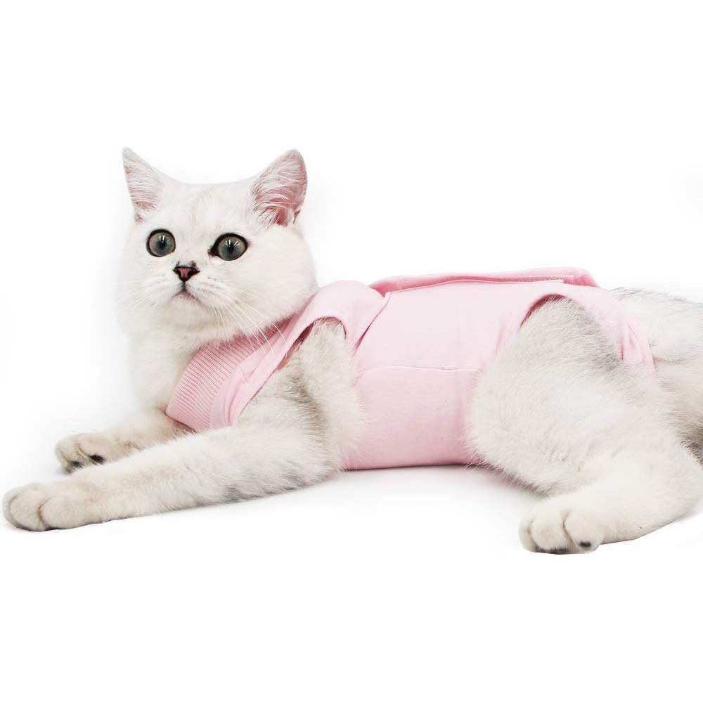 Cat Professional Surgical Recovery Suit,Cat Clothes for Abdominal Wounds or Skin Diseases (M, Pink)