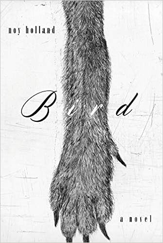 Amazon Fr Bird Holland Noy Livres