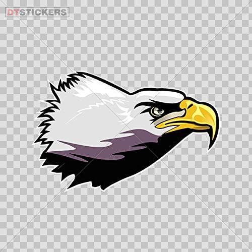 american eagle size 4 in inches