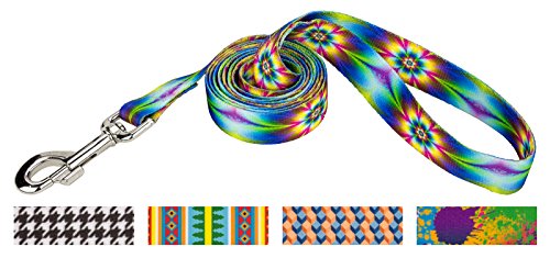 Country Brook Design 1 Inch Tie Dye Flowers Dog Leash - 6 Foot