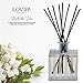 LOVSPA Reed Diffuser Set, White Tea Scented Oil Diffuser with Sticks, Home Fragrance Accessories for Bathroom Shelf Decor, Aroma Diffusers for Home or Office Desk, USA Made