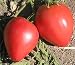 Japanese Giant Oxheart -Tomato Seeds,Open Pollinated - huge, 1-2 lb. Heirloom