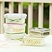 Innobaby Keepin' Fresh Stainless Bento Snack or Lunch Box with Lid for Kids and Toddlers. BPA Free. Green Alligator