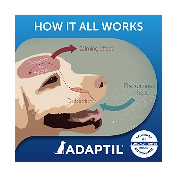ADAPTIL Calm 30 day Refill, helps dog cope with behavioural issues and life challenges - 48 ml (Pack of 1)