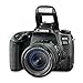 Canon EOS 77D DSLR Camera and Canon 18-55mm is STM + 55-250mm Lens with Altura Photo Complete Accessory and Travel Bundle