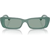 Ray-Ban Unisex Rb4425 Teru Rectangular Sunglasses