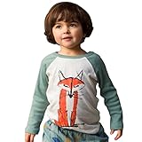 DaySeventh 2017 Baby Kids Boys Girls Long Sleeve Fox Cute T-Shirt Tops