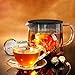 Glass Teapot with Tea Infuser - Stovetop Safe Clear Glass Teapot with Removable Strainer - Perfect for Blooming Tea, Loose Leaf and Other Herbal Teas
