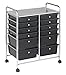 ECR4Kids 12-Drawer Mobile Organizer, 31.75