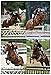 FINGER TEN Horse Riding Gloves Kids Boys Girls Equestrian Ride Youth 1 Pair, Color Black Blue Summer Comfortable Grip for Kid Age 5-13