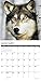 Spirit of the Wolf 2019 Wall Calendar