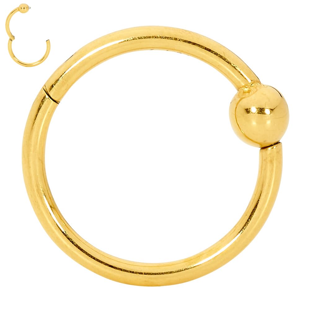 365 SLEEPERS Titanium Implant Grade BCR Ball Closure Septum Hinged Segment Nose Lip Ring Hoop Earring Body Piercing Jewellery (18G 8mm)