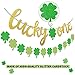 Yaaaaasss! St Patrick's Day Lucky One Banner with Lucky Four Leaf Clover Shamrock Garland for First Birthday Party Supplies Glitter Green Baby Shower Decorations
