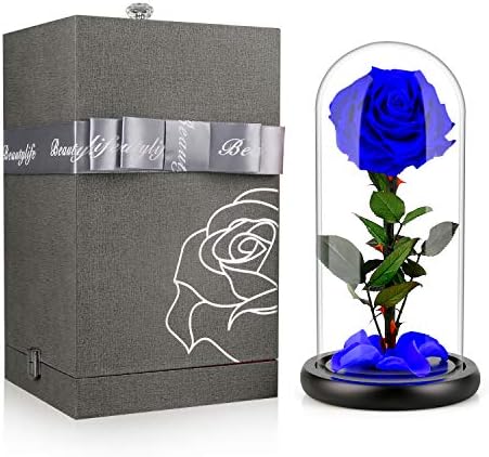 AXUAN Real Rose 13''H Beauty and The Beast Enchanted Rose, Preserved Fresh Rose in Glass Dome Romantic Forever Gift for Her Anniversary Valentine's Day Christmas Mothers Day (Blue)