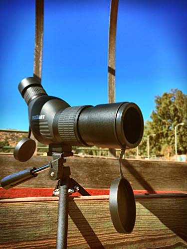 1 Roxant+Authentic+Blackbird+Definition+Spotting