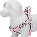 Blueberry Pet 4 Colors Soft & Comfortable 3M Reflective Step-in Pastel Color Paddd Dog Harness, Chest Girth 19.5