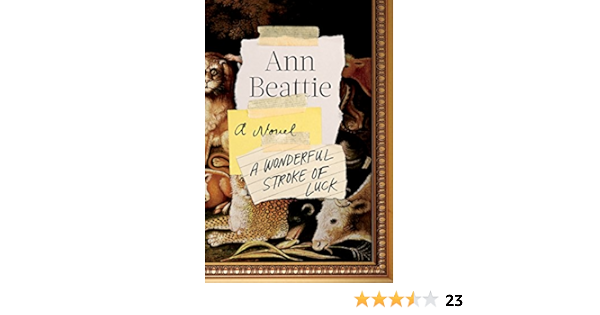 A Wonderful Stroke Of Luck A Novel Beattie Ann Amazon Com Books