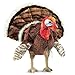 Folkmanis Turkey Hand Puppet