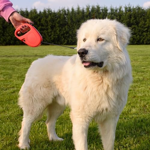 Trela retrátil para cães grandes Flippy One Tape L, trela extensível 5 m, máximo 50 kg, vermelha