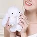 CHUANGLI Keychain Fluffy Faux Fur Keychain Handbag Pom Pom Keyring Pendant for Women Girls