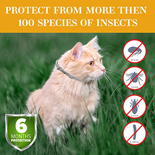Organic Way Flea Collar - Tick Collar for Cats - Made for Germany - 100% Safe & Eco-Friendly – Based on Natural Oils - Flea and Tick Prevention Pets - 6-Month Protection – Waterproof Cat Flea Collar - Thumbnail 4