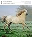 Horse 2015 Gallery Calendar