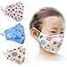 ZWZCYZ 3Pcs Kids Cartoon Cars Cotton Mask Children's PM2.5 Guaze Mask Dustproof Face Mask with N95 Filters (Strawberry+Blue Star+Little Bear)