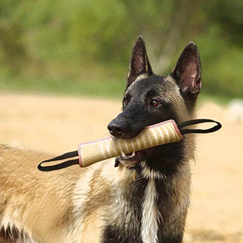 suruikei Dog Tug Toy Dog Bite Pillow Jute Bite Toy with 2 Handles, Tug of War Dog Toy for Puppy Training Interactive Play, Fetch, Suitable for Small Medium Large Dogs (Jute Bite Toy+Gloves)