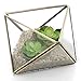 MyGift Diamond Shape Glass Prism Terrarium with Brass-Tone Metal Rim
