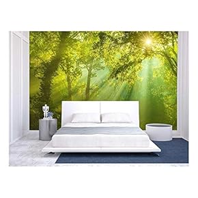 Green Forrest with Sun in The Sky - Removable Wall Mural | Self-Adhesive Large Wallpaper - 66x96 inches