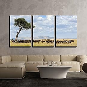 3 Piece Canvas Wall Art - Wildebeest, National Park of Kenya, Africa - Modern Home Art Stretched and Framed Ready to Hang - 16"x24"x3 Panels